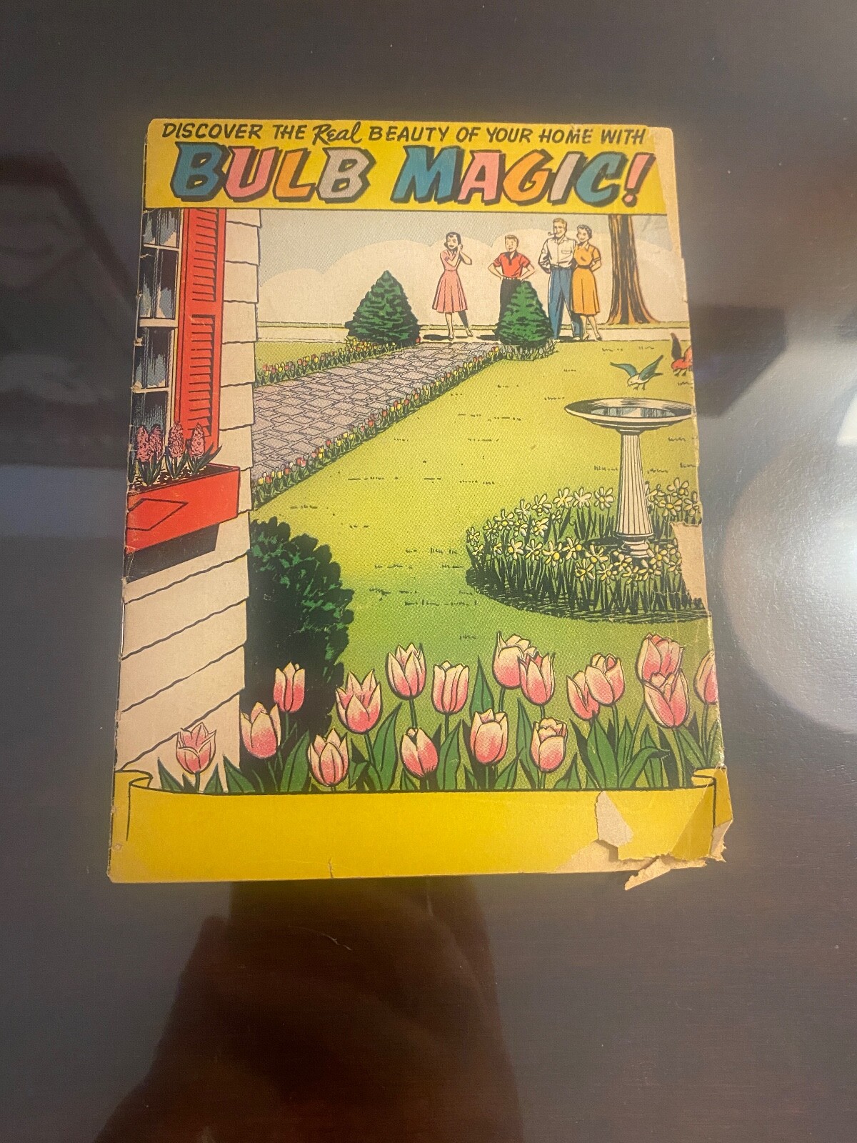 Vintage Ephemera – 1956 Bulb Magic Pamphlet – Bulb Growers Of Holland