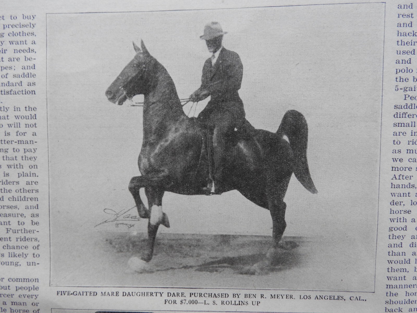 1925 Breeder&rsquo;s Gazette Magazine – cattle rancher farmer horse show VERY GOOD