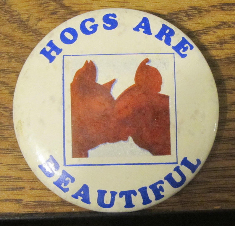Button Pin Pinback « Hogs Are Beautiful » Agriculture Pigs Farm Animals