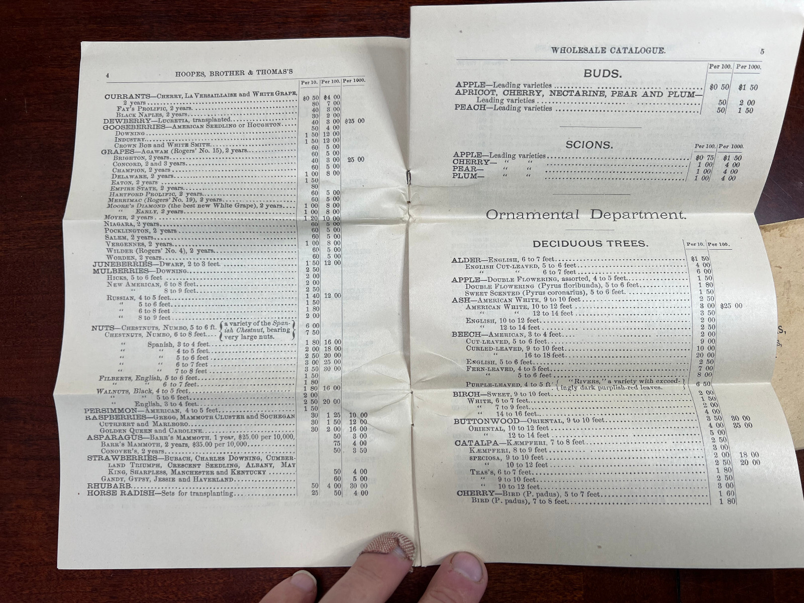 Hoopes Bro & Thomas Maple Ave Nurseries West Chester, Pa Catalogue & Envelope