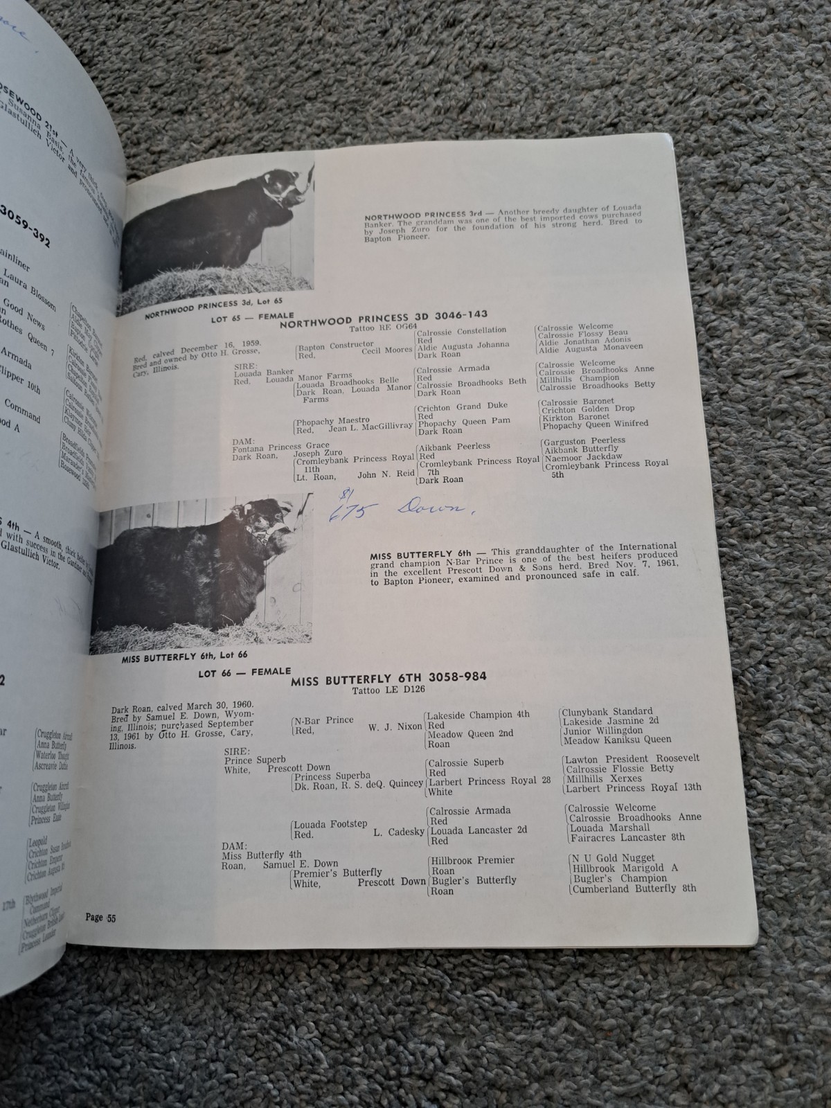 Northwood Spring Shorthorn Sale 1962 Cary Illinois Cattle