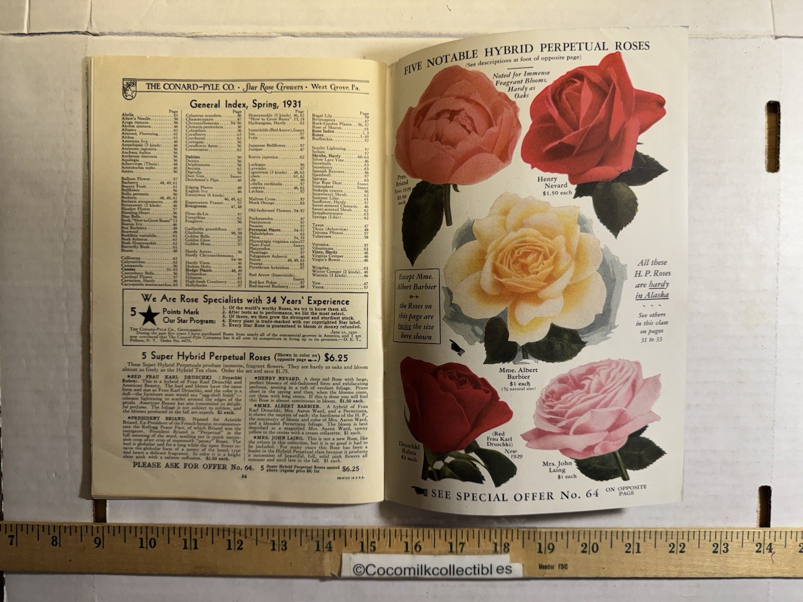 Vintage 1931 The Conard-Pyle CO Star Rose Growers Catalog West Grove PA