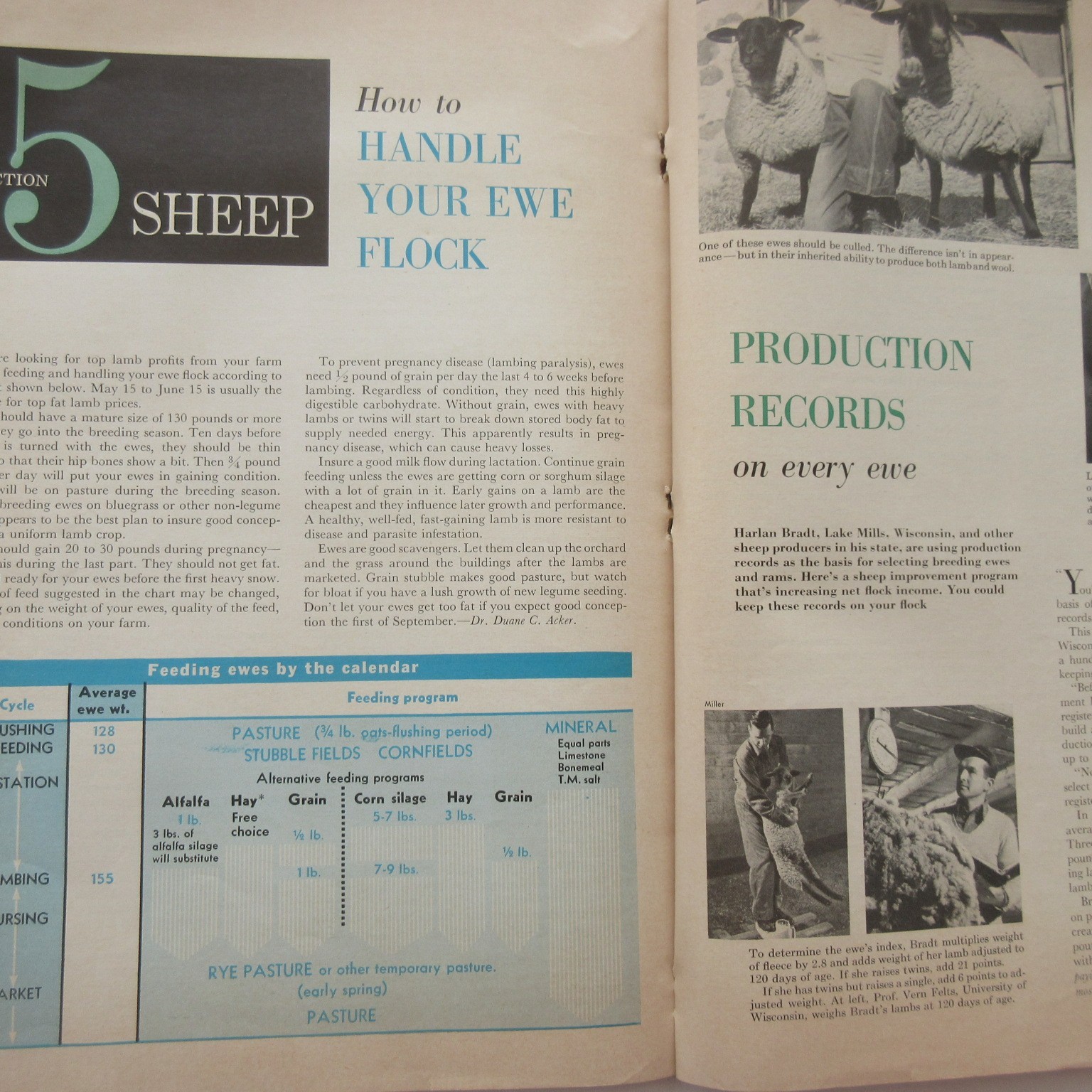 Vintage 1959 Successful Farming&rsquo;s Livestock Book Beef Hogs Dairy Poultry Sheep