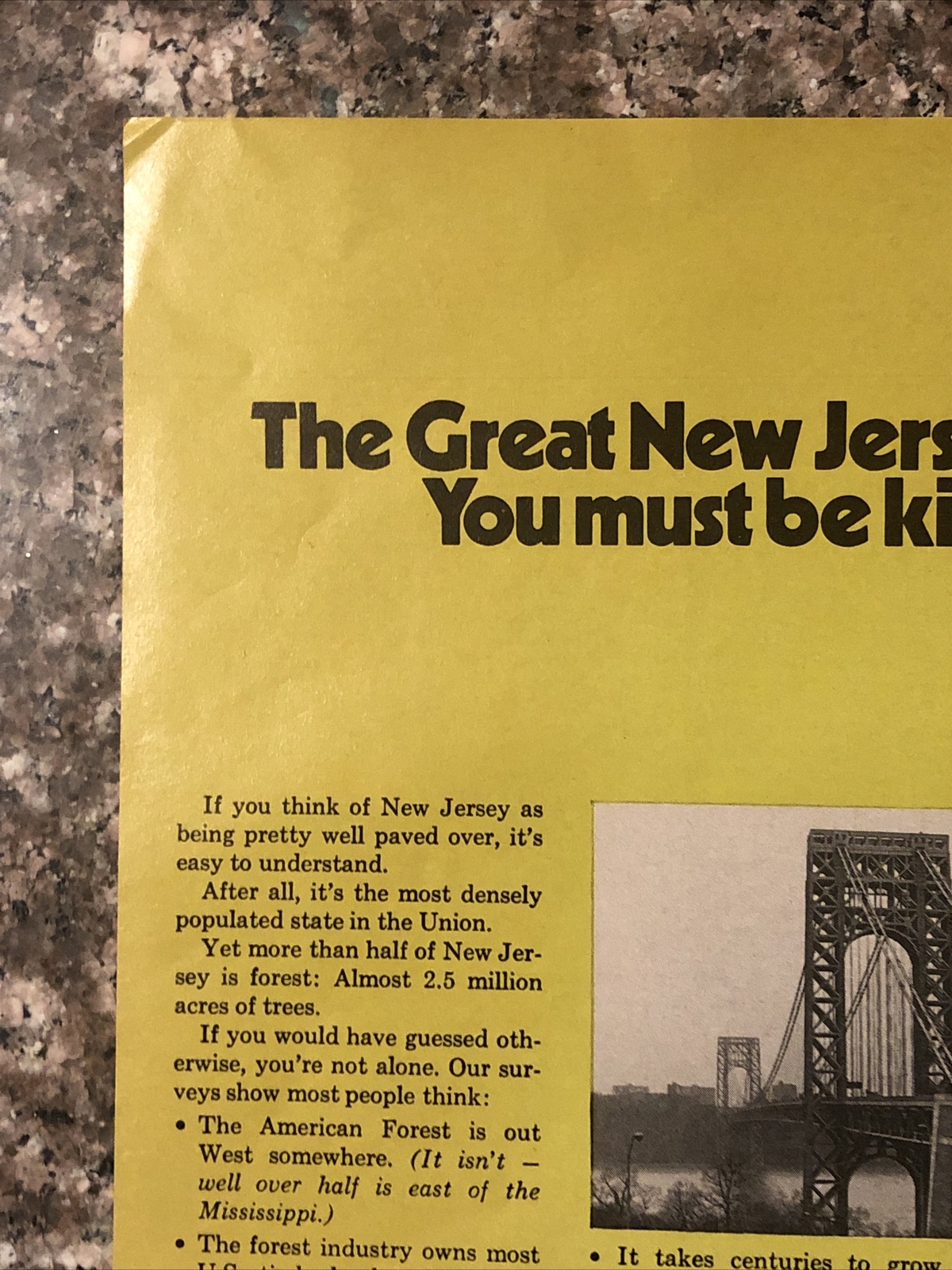 1974 American Forest Institute PRINT AD Great New Jersey Forest VTG 1970s