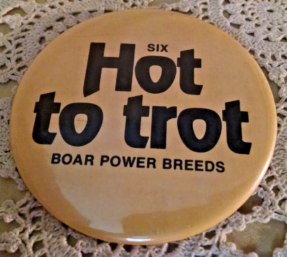 BOAR POWER BREEDS BUTTON PINBACK ROUND VINTAGE SIX HOT TO TROT TIN ENAMEL PIG.