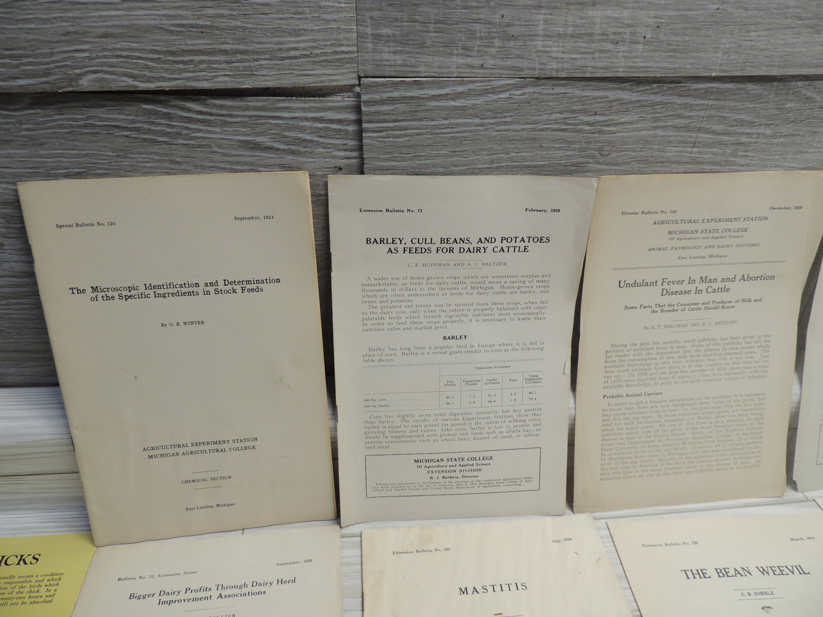 Lg Lot of Michigan State & USDA Bulletins 1920s-1930&rsquo;s Plus Happy Chick Brochure