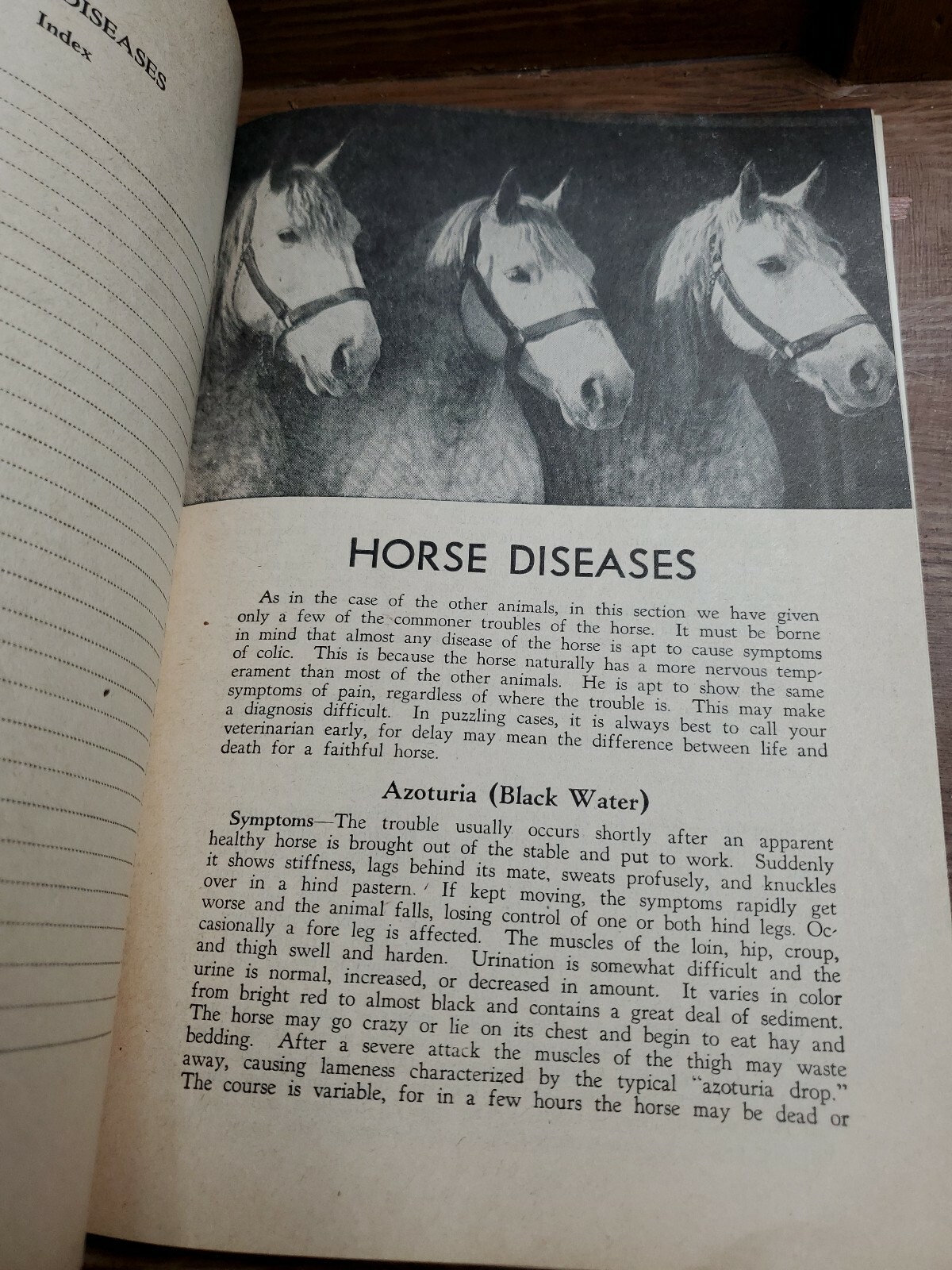 1956 How to Treat COMMON AILMENTS OF FARM ANIMALS / HOARD&rsquo;S DAIRYMAN Fort Atkins