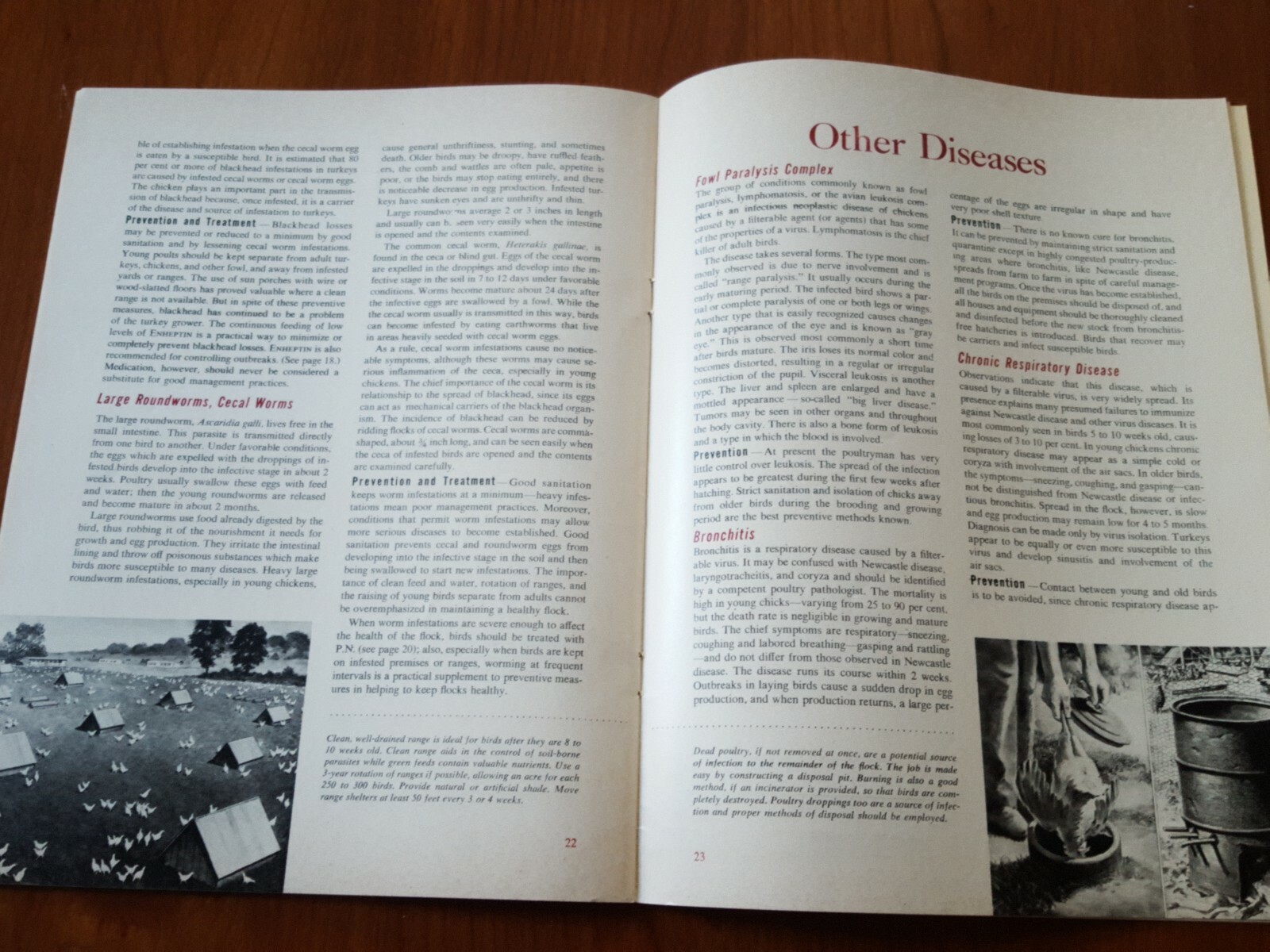 Lederle Labs * Control Of Poultry Diseases Mack Drug Co Middletown New York 1951