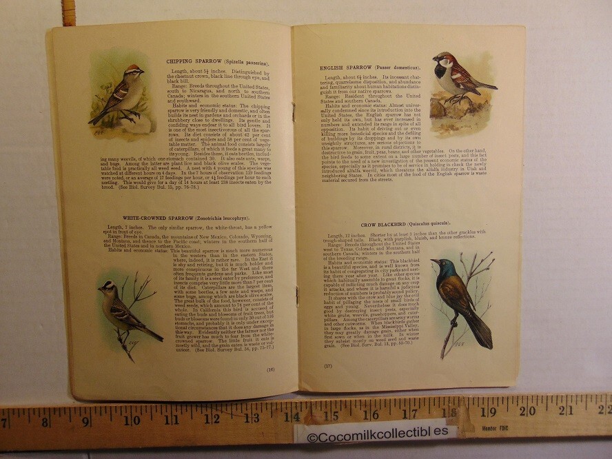 Vintage 1913 U.S Department of Agriculture Fifty Common Birds of Farm & Orchard