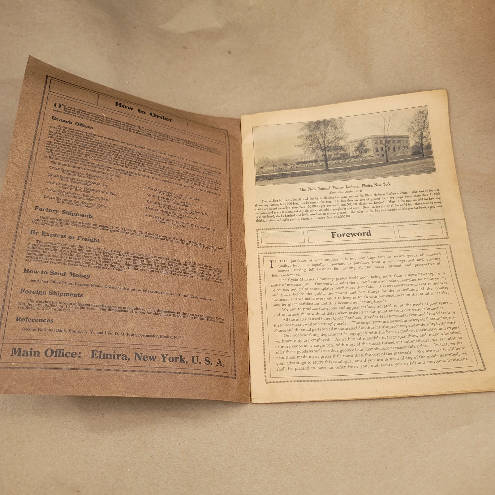 1912 Poultry Profits Philo System Cycle Hatcher Company Chicken
