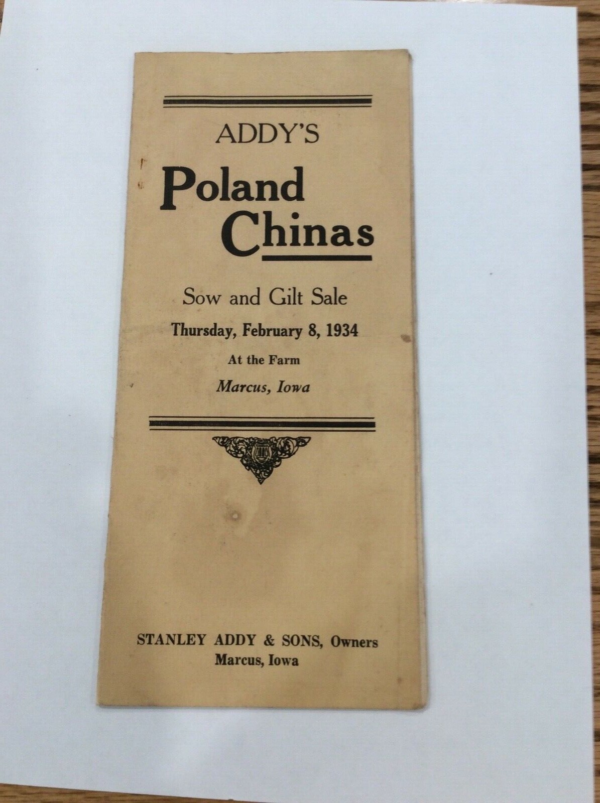 1934 Addy’s Poland Chinas Sale At The Farm Marcus Iowa Stanley Addy THIS FAMILY?