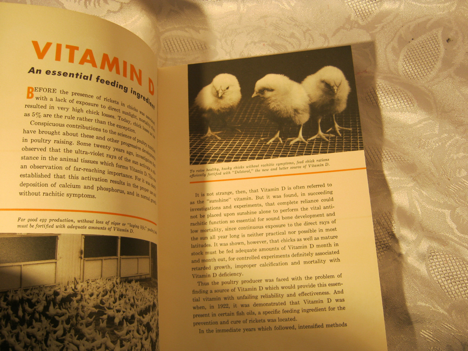DU PONT DELSTEROL POULTRY AGRICULTURE FARMING ADV PAMPHLET