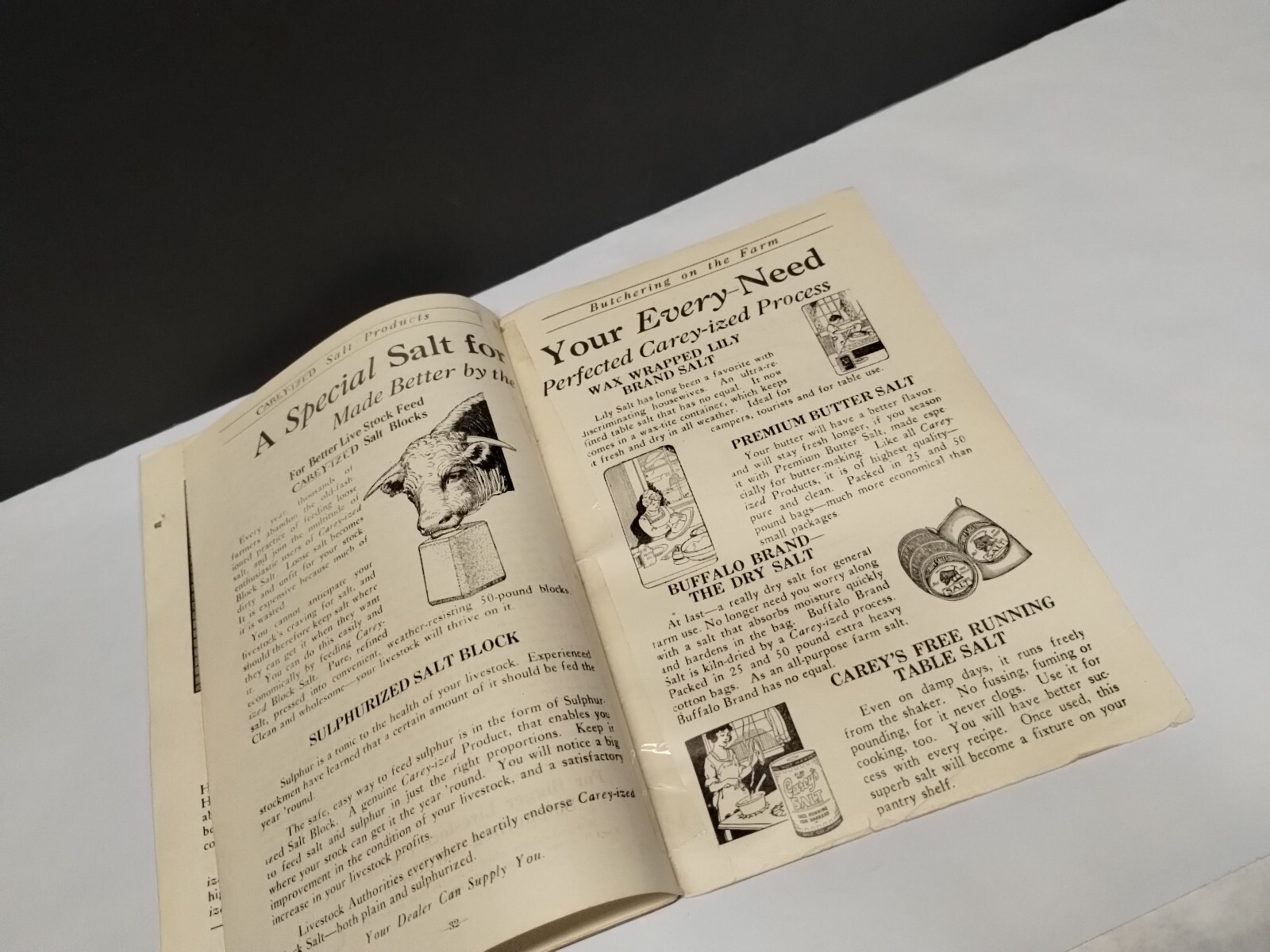 Vintage MEAT PRODUCTION On The FARM Bklet & 1922 Simple Instructions for Butcher