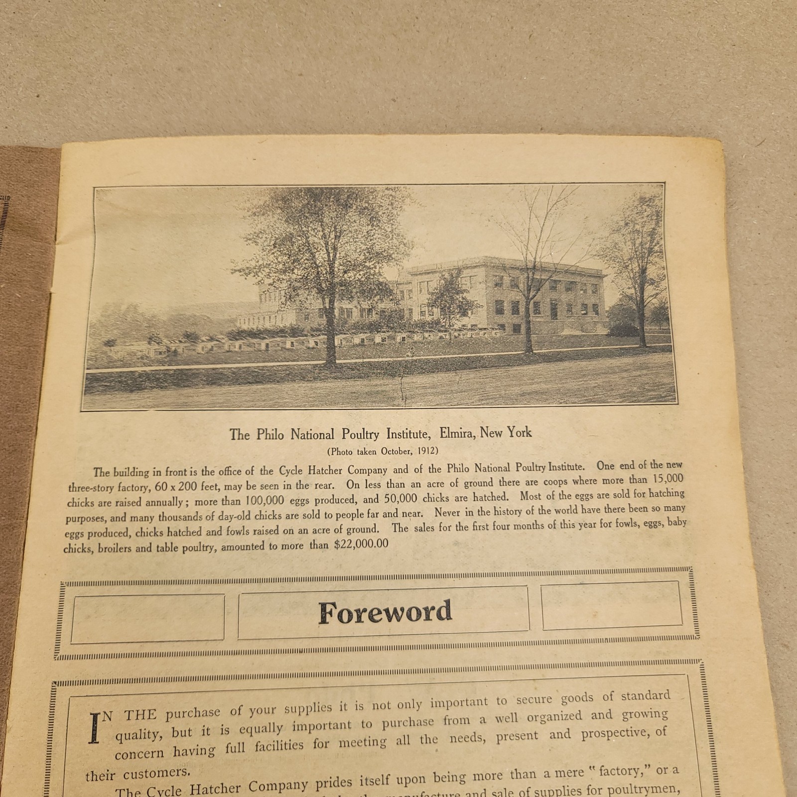 1912 Poultry Profits Philo System Cycle Hatcher Company Chicken