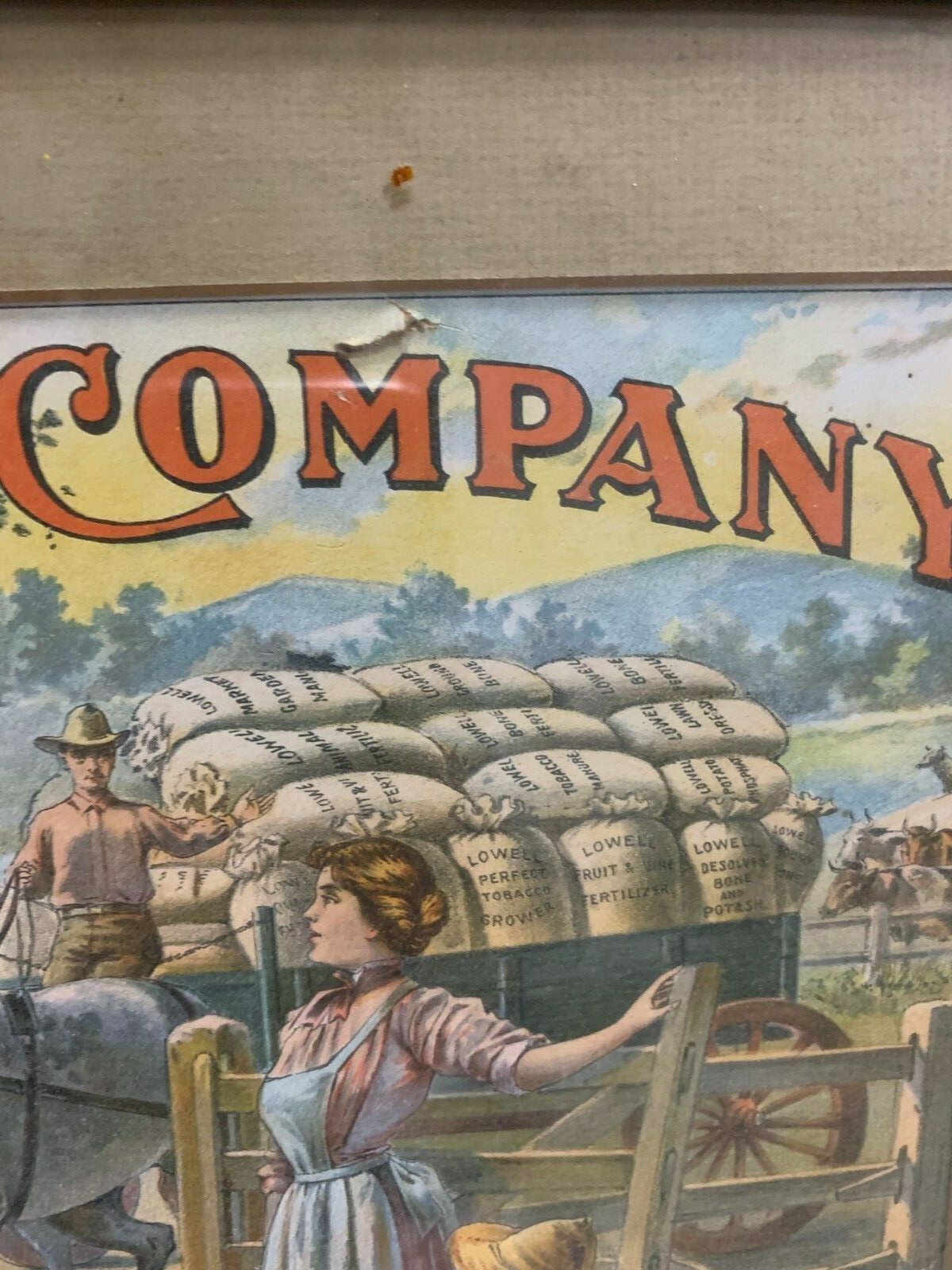 Rare Vintage Lowell Fertilizer Co. Litho Framed Sign FARM GAS OIL SODA COLA 17&Prime;
