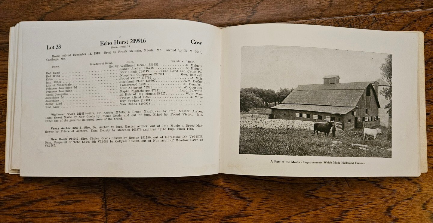 Shorthorn Cattle Dispersion Carthage Missouri 1916 with 65 Lots Breeders