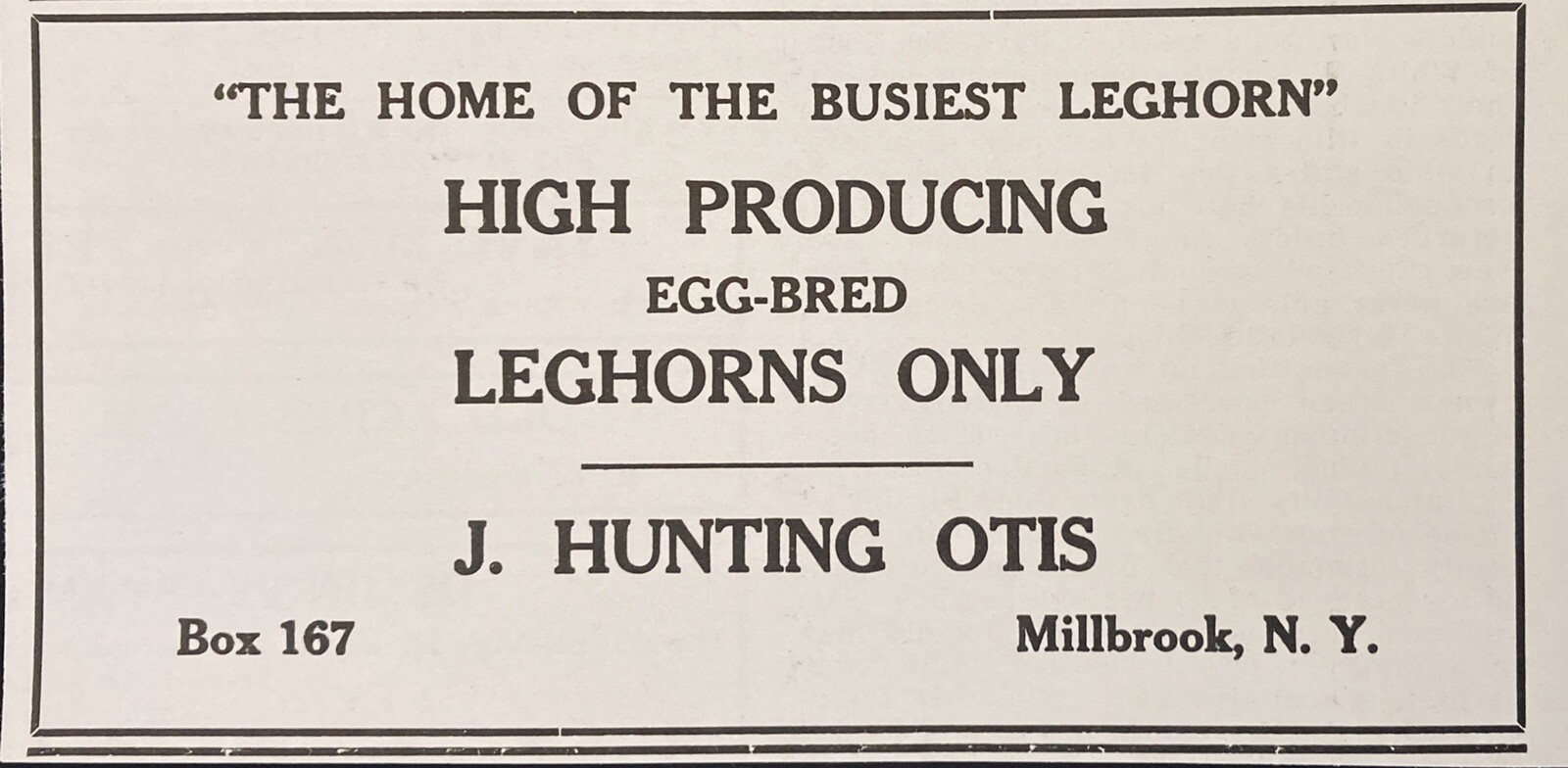 1935 AD.(XG2)~J. HUNTING OTIS POULTRY FARM, MILLBROOK, NY. LEGHORNS