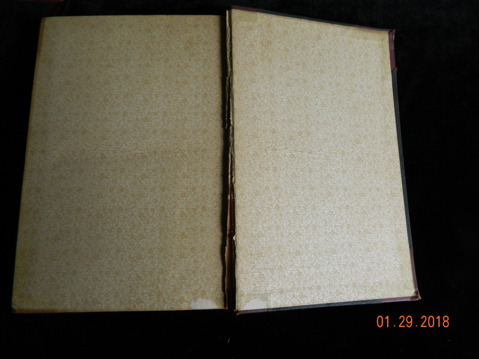 American Aberdeen-Angus Herd Book Vol 31 Original Hardcover RARE VINTAGE 1919