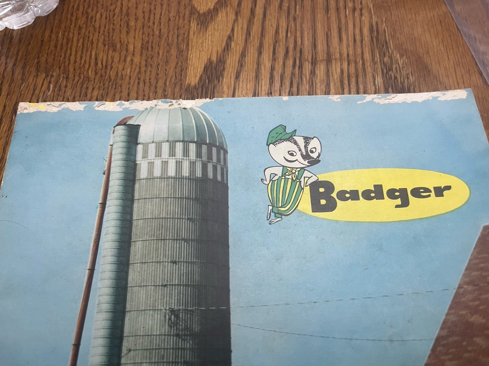 1960&rsquo;s Badger Silo Unloader & Bunk Feeders Sales Brochure dealer