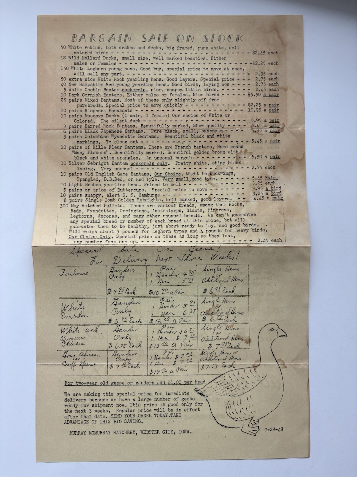 Vintage 1948 Murray McMurray Hatchery Webster City Iowa Chicks Stock Advert Lot