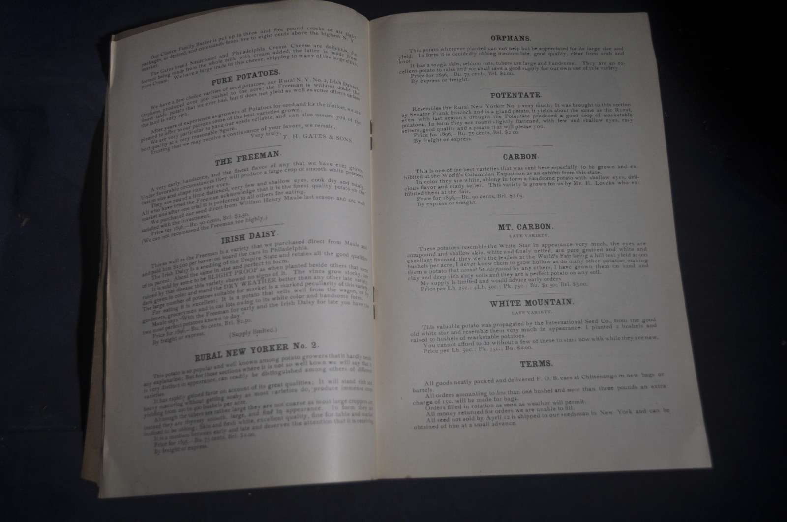 Ca 1896 Gates Homestead Farm Catalog Hogs, Poultry, Ferrets, Chittenango NY
