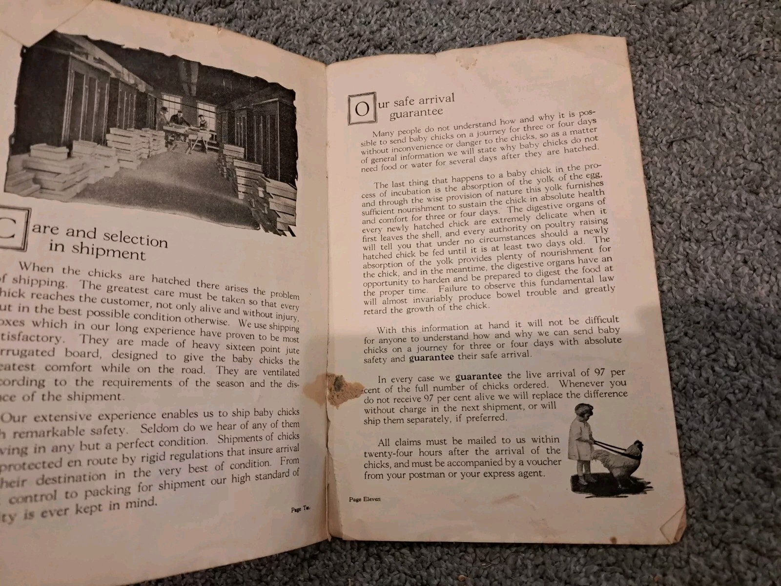 The Profit Maker Vintage 1923 Canadian Chick Hatchery Booklet Poultry