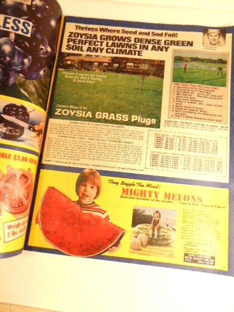 Vintage 1979 Nursery Sales catalog; Lakeland Nursery Sales, Hanover, PA
