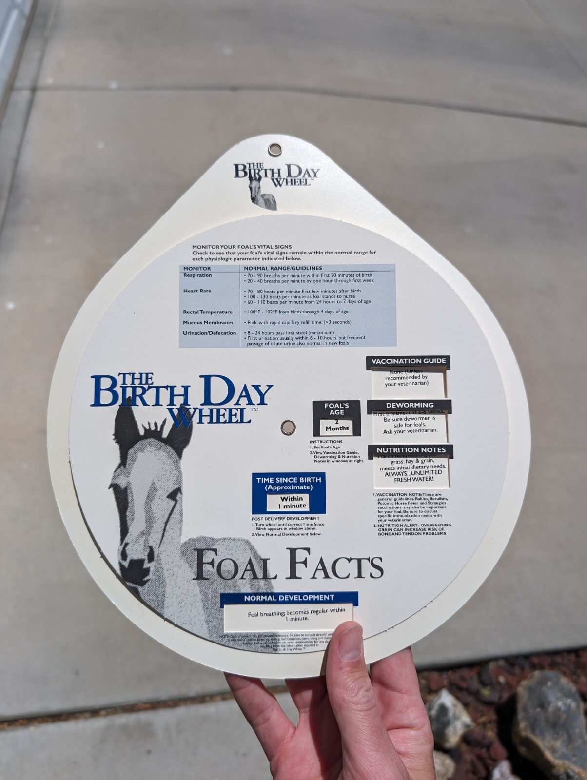 Vintage 1999 Horse Fact Spinner Double Sided The Birth Day Wheel DVM marketing