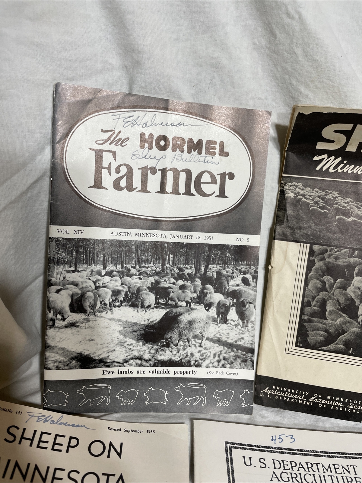 minnesota sheep farming bulletins