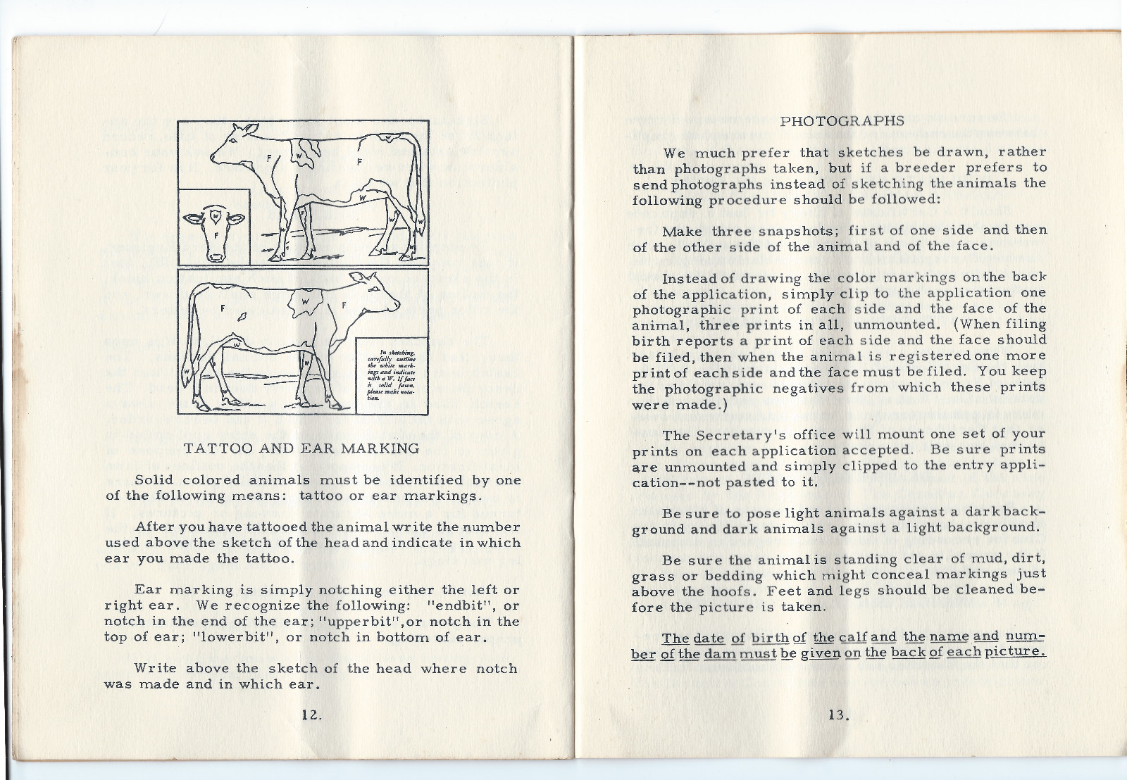 « The A B C of Registering your Guernseys » booklet, American Guernsey Cattle Club
