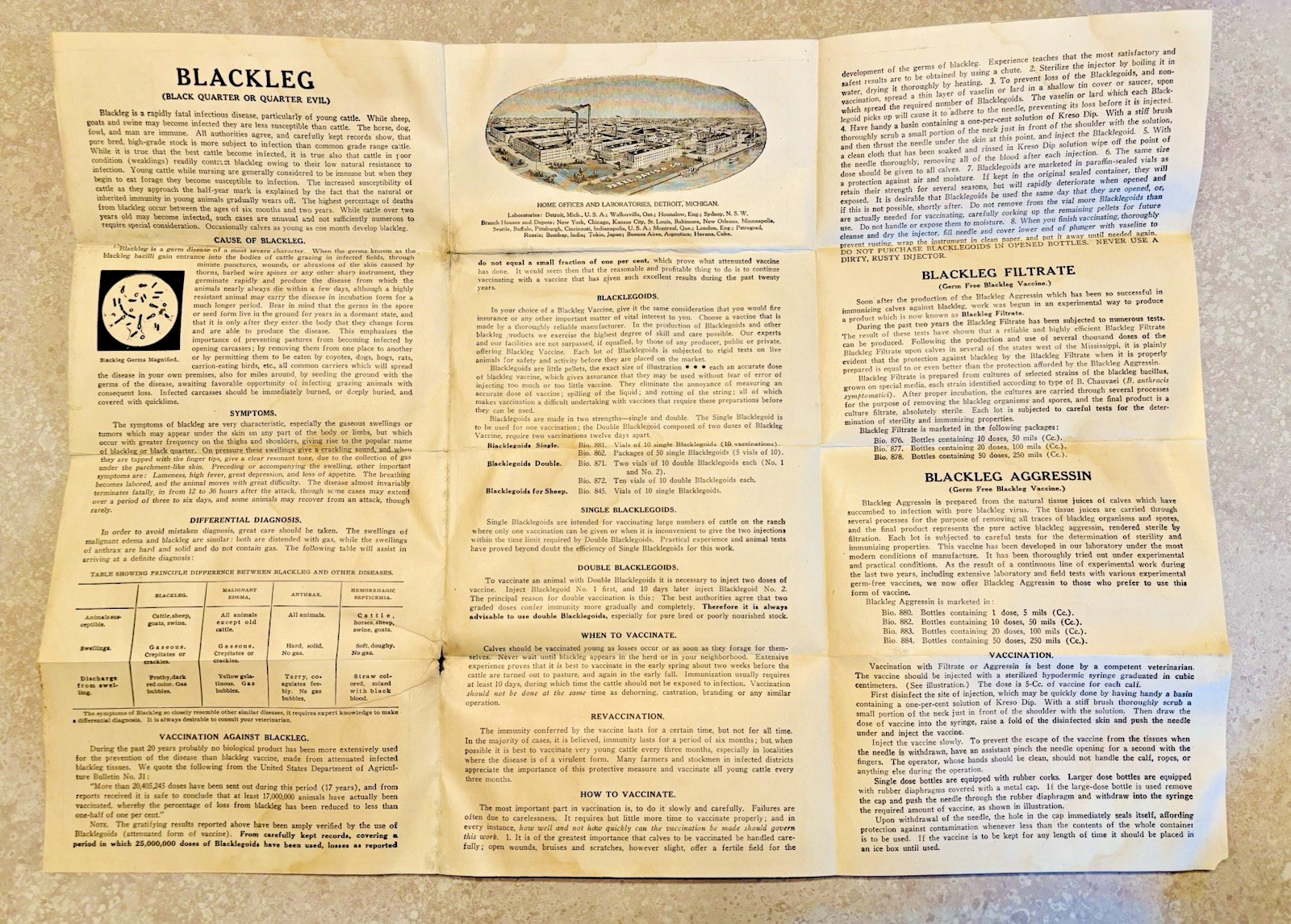 1918 Blackleg Vaccine Davis & Company Blacklegoids Advertising Brochure