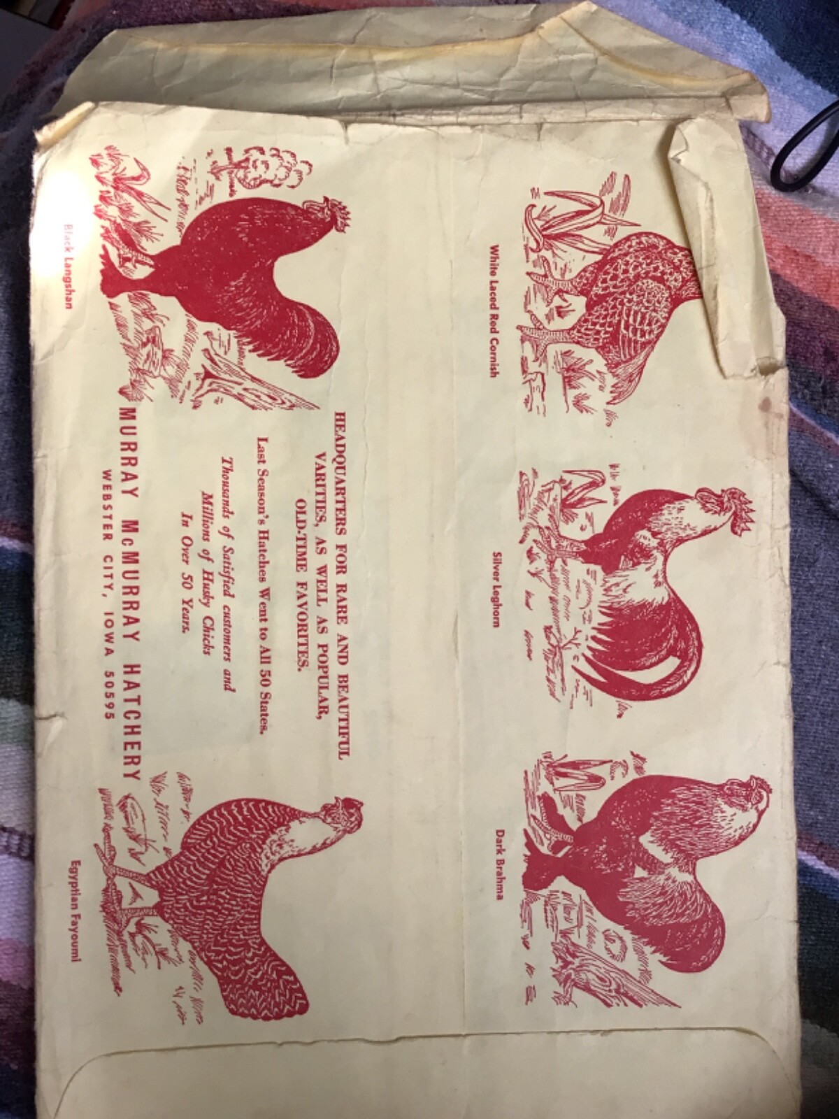 VTG 1970 RARE Chicks Color CATALOG/Guide~ »MURRAY McMURRAY HATCHERY »~Iowa~(J)