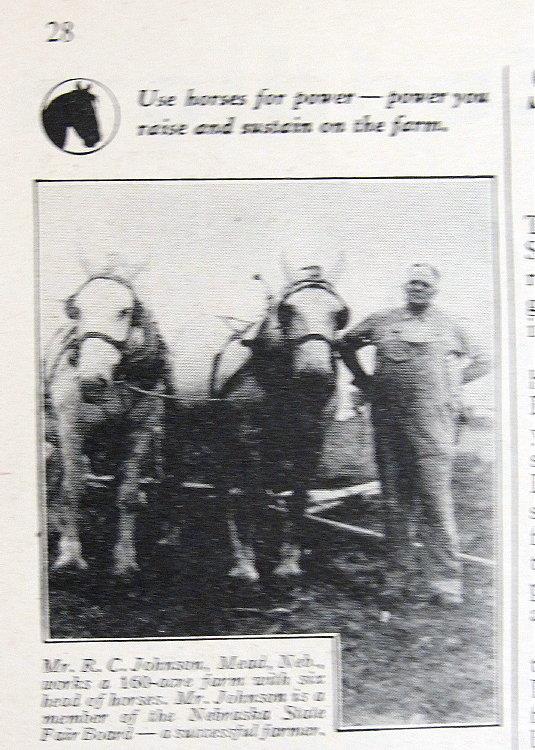 Original 1933 Horse Pads Ad Photo Endorsed R C Johnson of Mead Nebraska