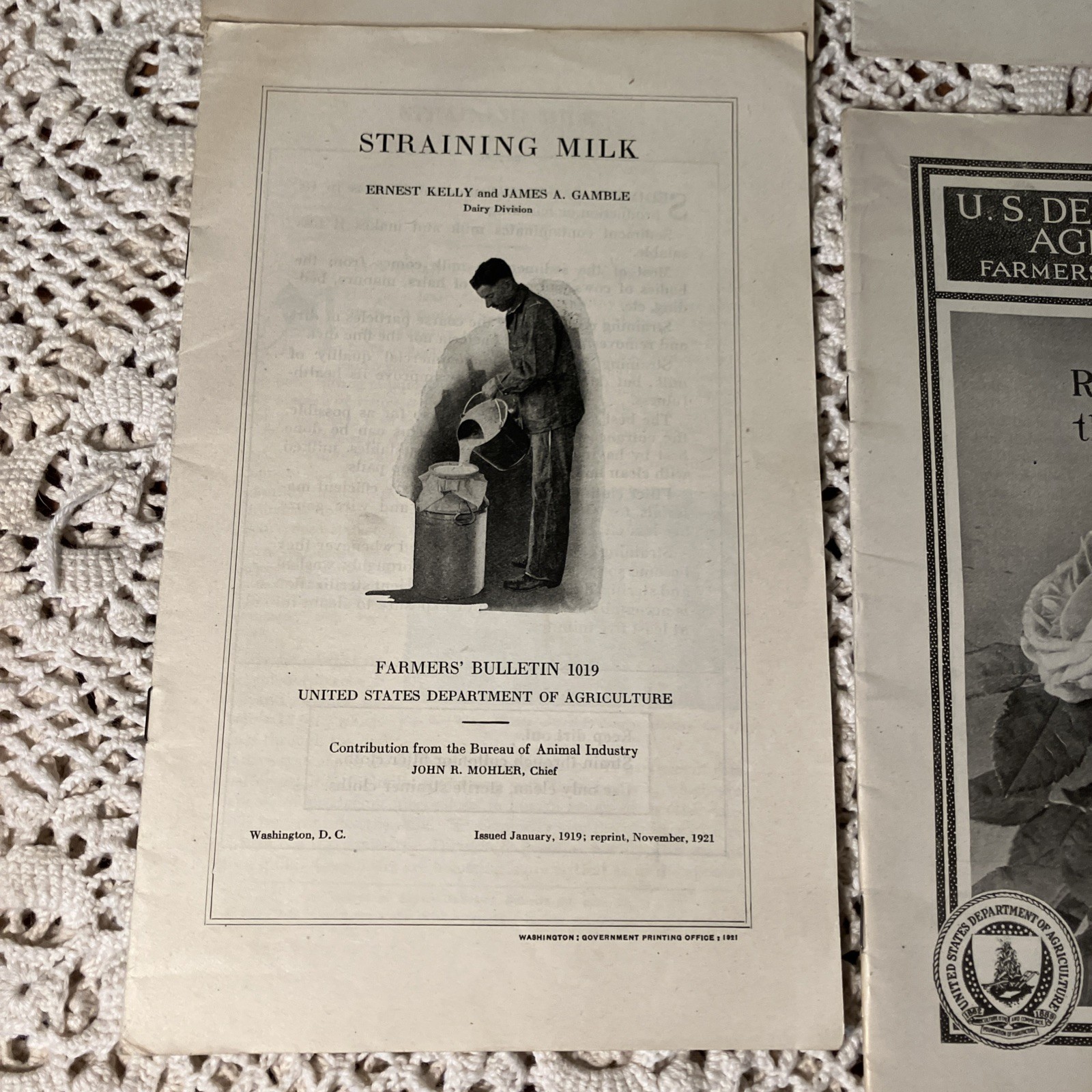 Department of Agriculture Antique 1919 & 20&rsquo;s Bulletin&rsquo;s Pamphlet&rsquo;s Lot 6-B