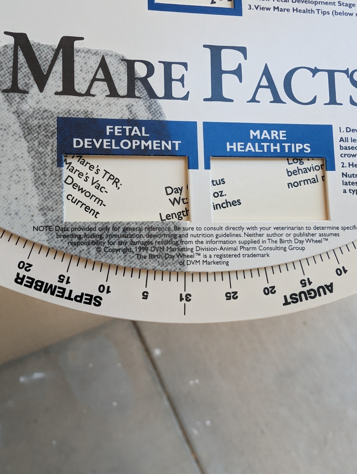 Vintage 1999 Horse Fact Spinner Double Sided The Birth Day Wheel DVM marketing