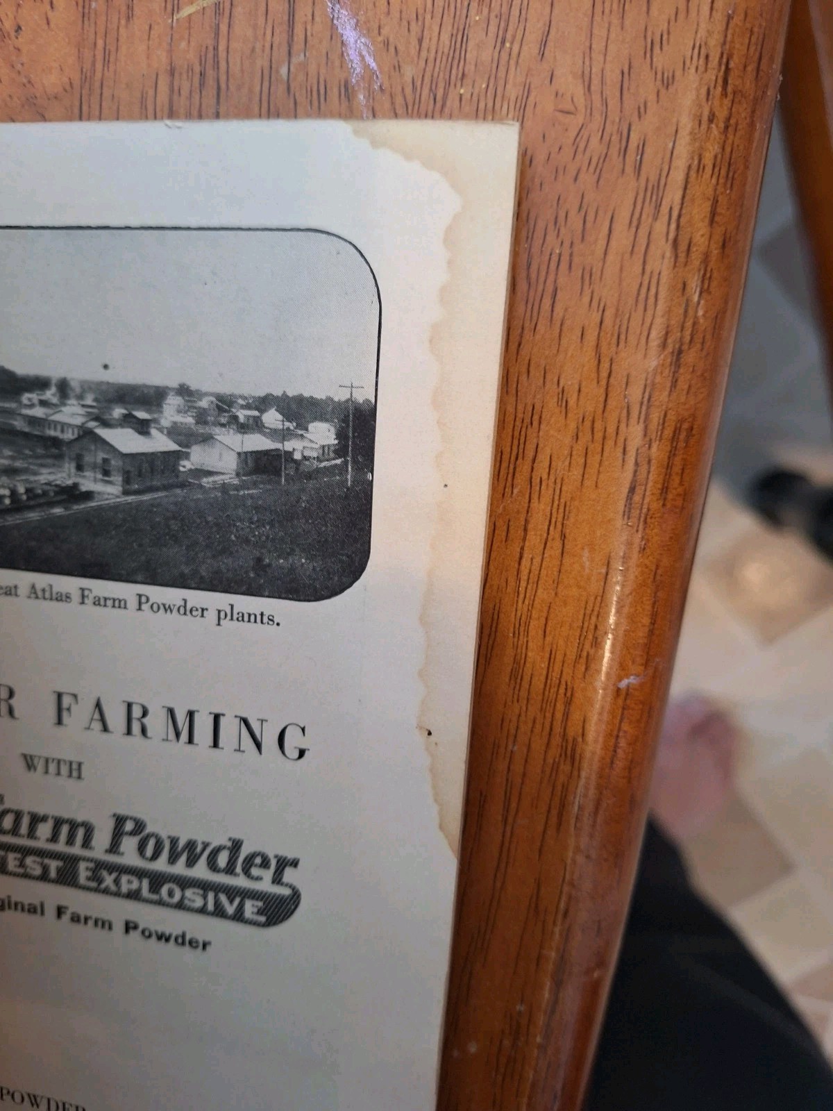 Large Lot Of Antique Agriculture Ephemera