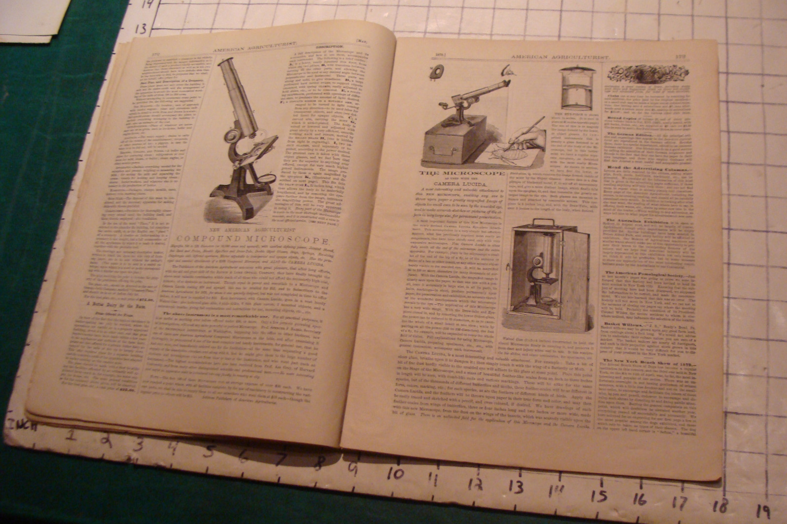 Vintage American Agriculturist 1879 May; great DOGS, SHEEP, MACHINES,