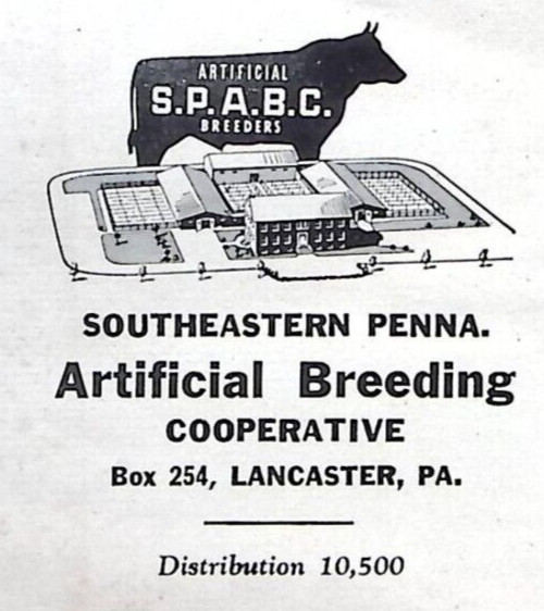 1953 THE BREEDERS&rsquo; BROADCASTER MARCH CATTLE S.P.A.B.C. BREEDERS NEWSLETTER Z6543