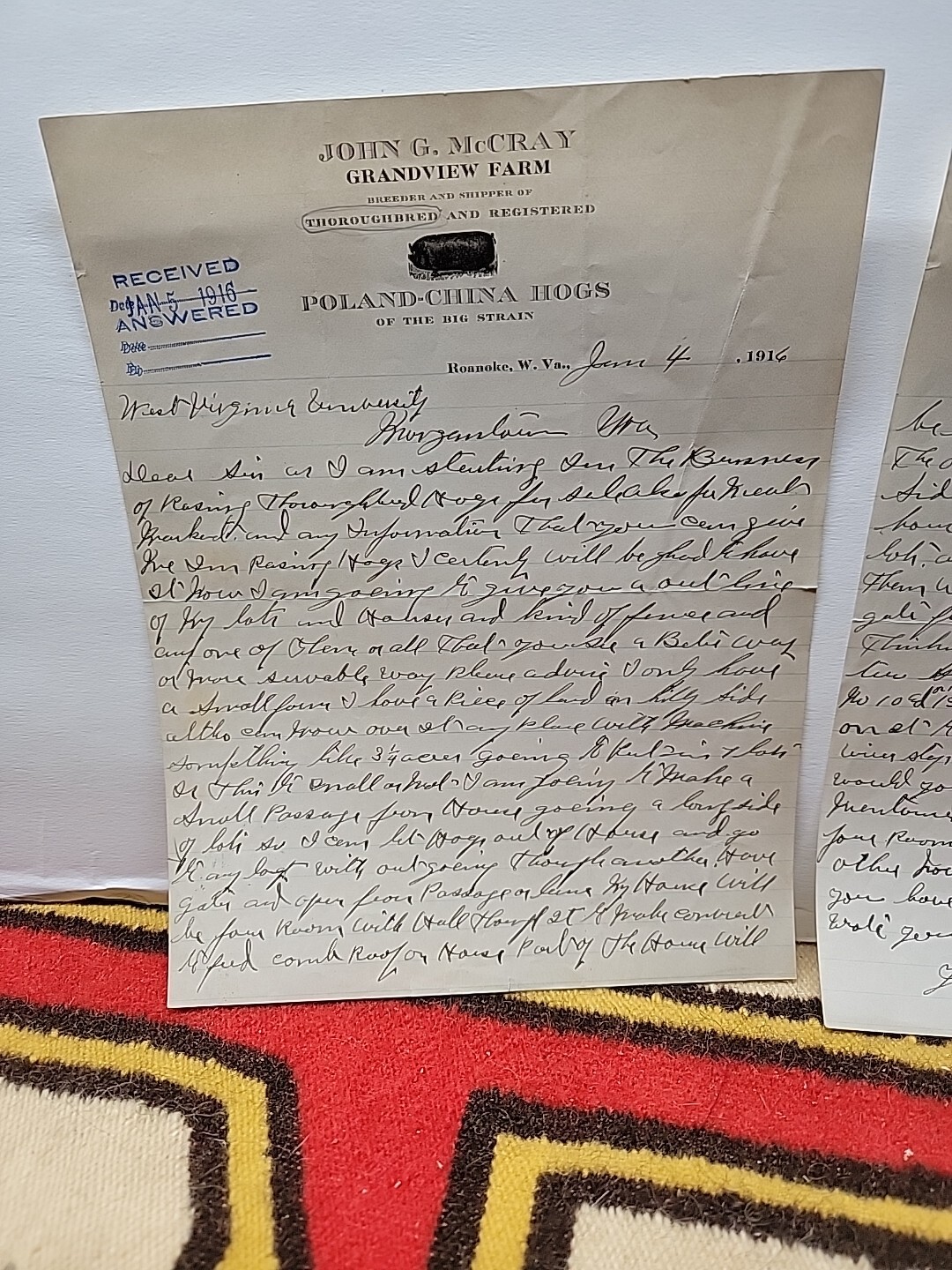 1916 JOHN McCRAY GRANDVIEW FARM POLAND-CHINA HOGS Letterhead / 1123-tf2