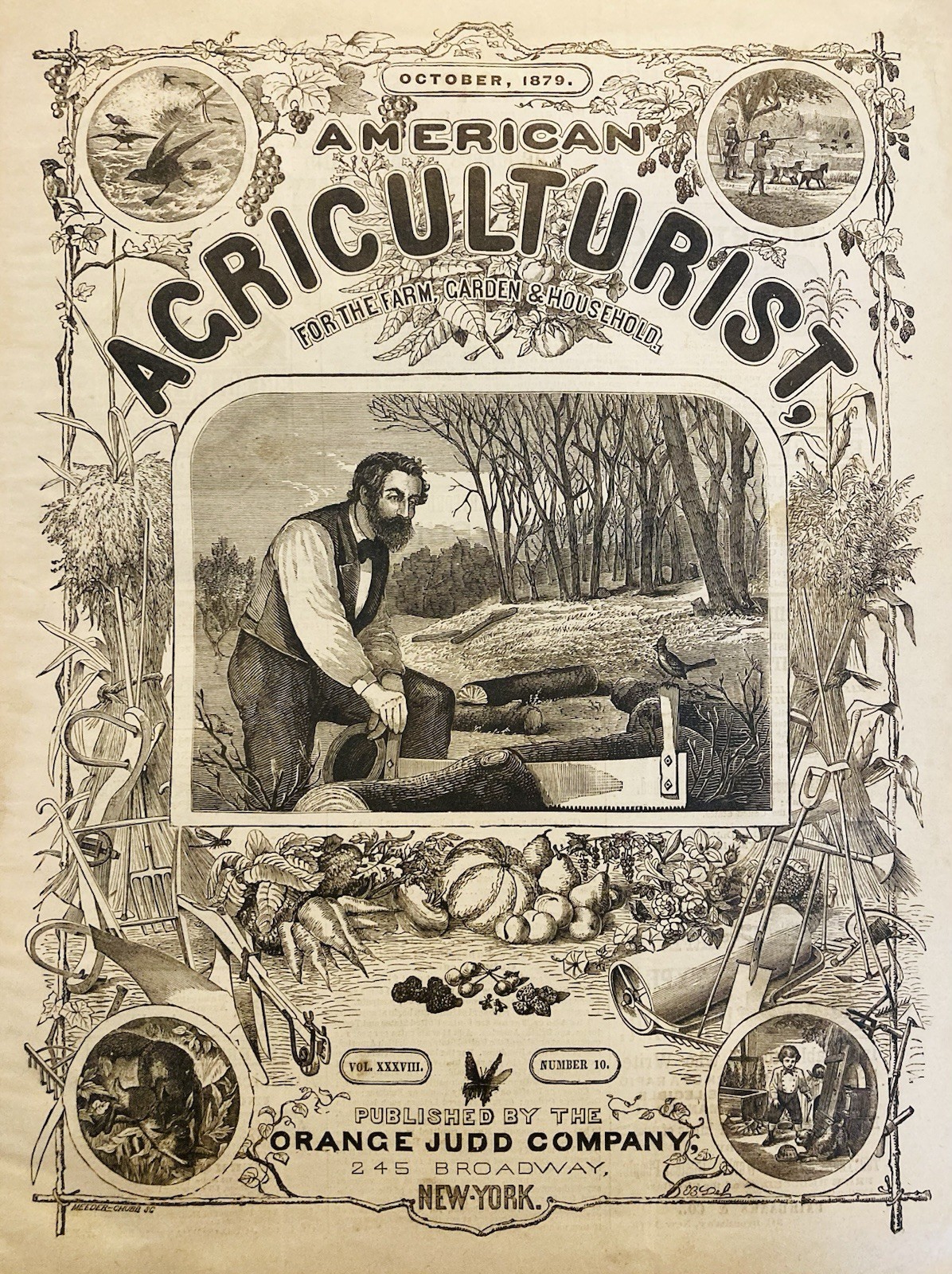 1879 AD.(XH87)~AMERICAN AGRICULTURIST MAGAZINE COVER(ONLY) “SAWING WOOD”
