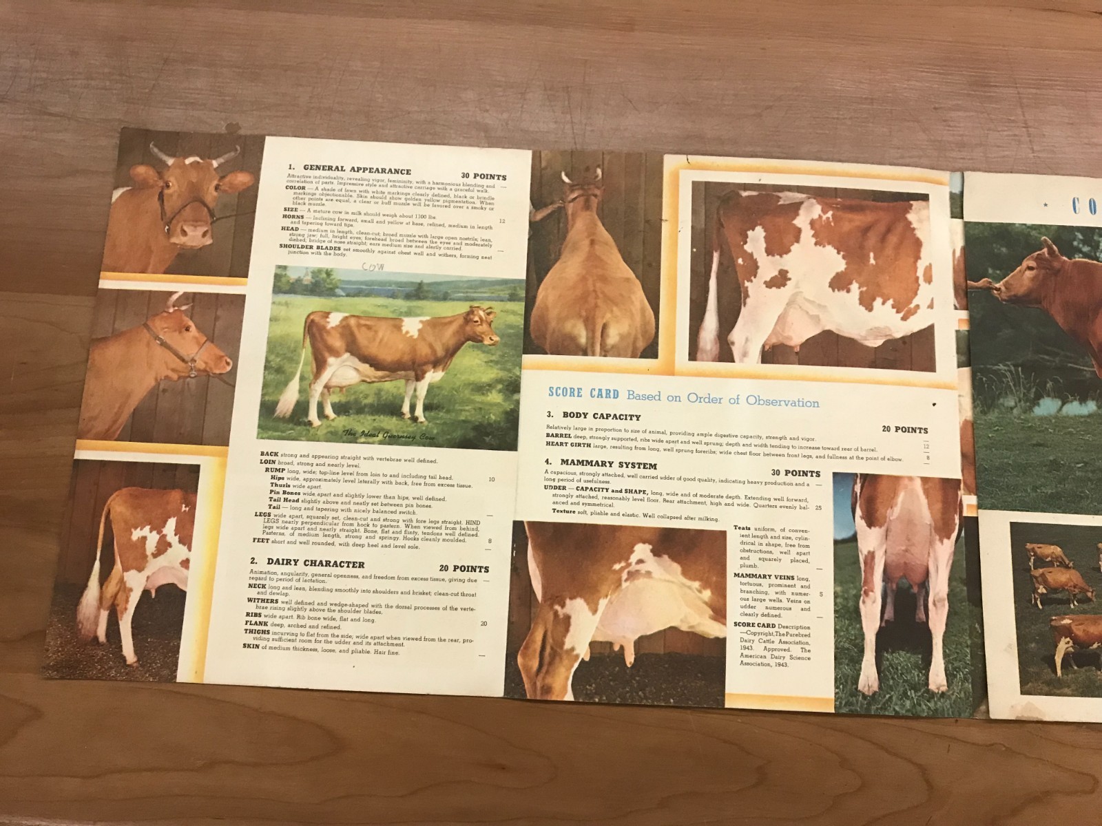 Vintage Guernsey – Creating a Standard of Excellence Brochure