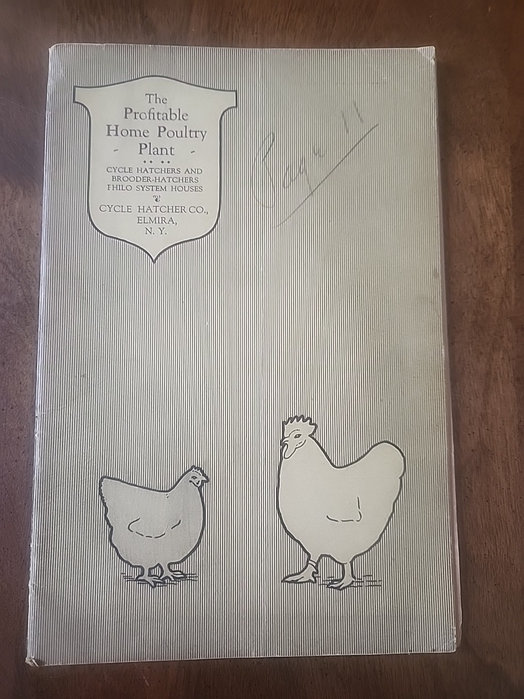 1919 Cycle Hatcher Co. Poultry Catalogue “The Profitable Home Poultry Plant”