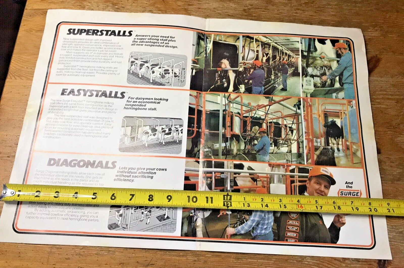Vintage Surge Advertising Brochure Farm Equipment Dairy Cows Milking Farming