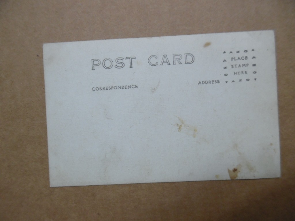 1920 Alfalfa Farm Land Sale Promoter Real Photo Postcard Scott County Kansas