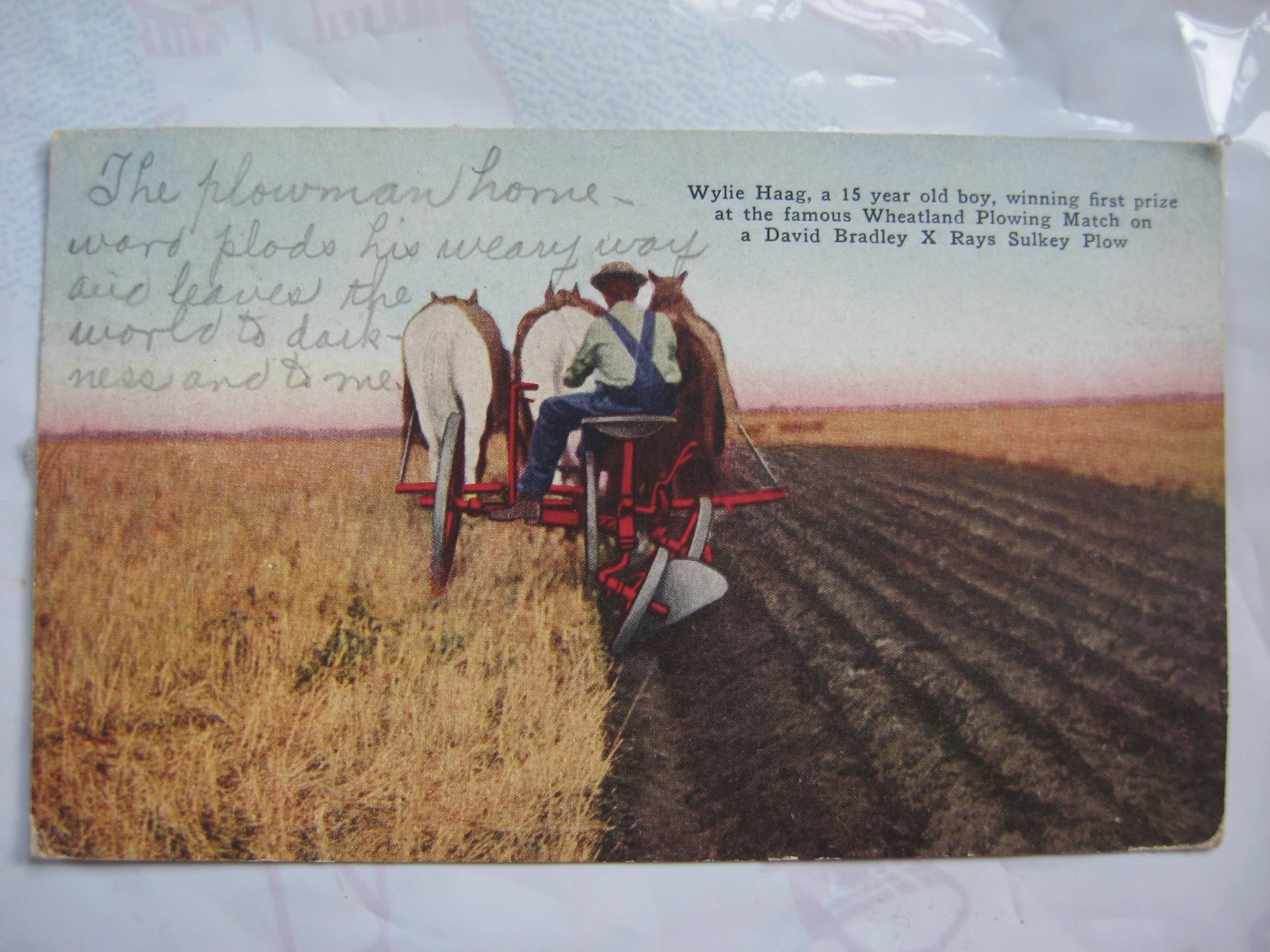 David Bradley Sulkey Plow Post card Brochure Wheatland Plowing Match Wylie Haag
