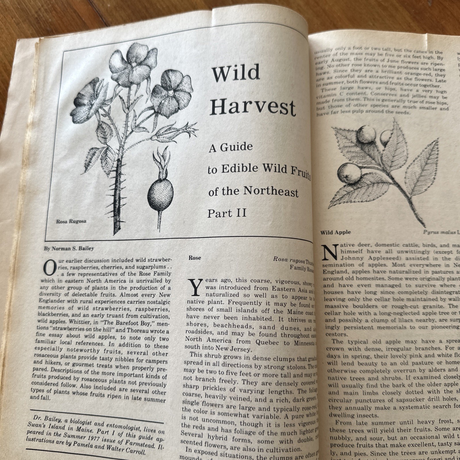 Farmstead Magazine Home And Gardening & Small Farming Fall 1977