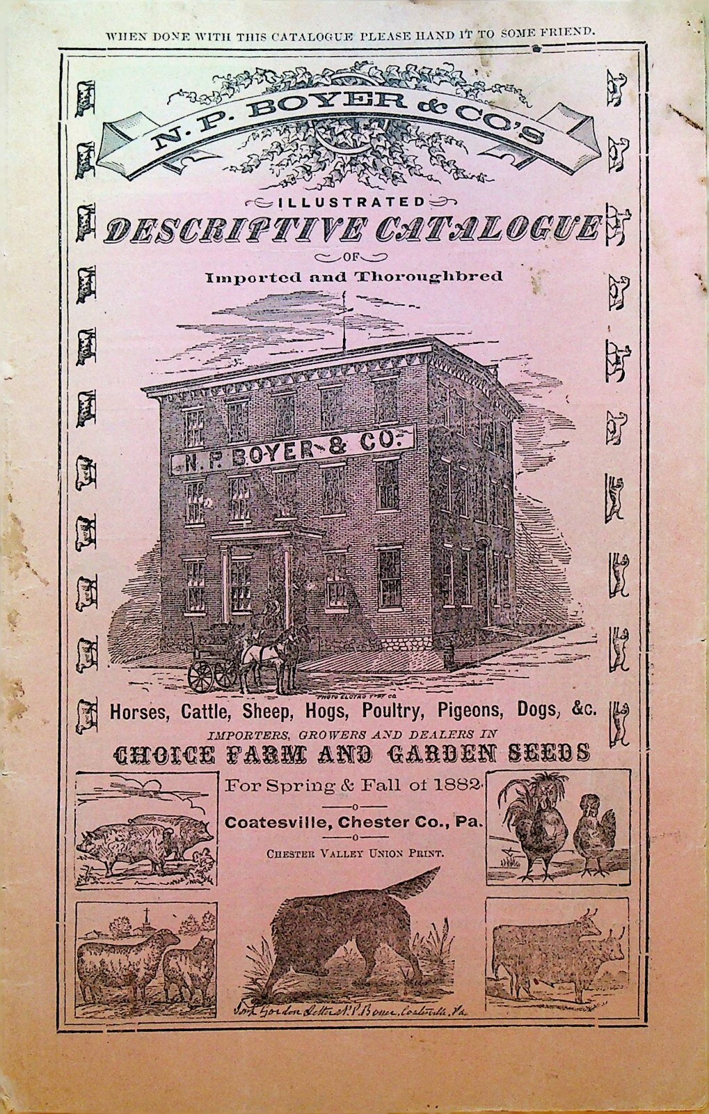 NP Boyer & Co Descriptive Catalog Coatesville Pa 1882 Dogs Hogs Sheep Cows