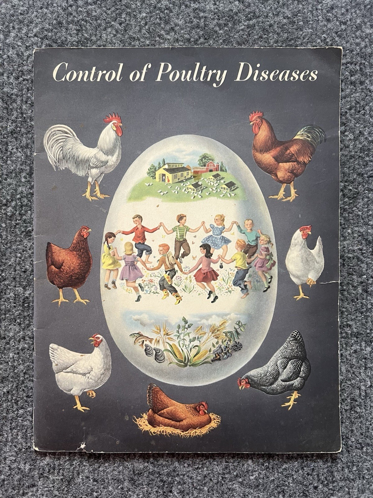 Vintage 1951 Lederle Control of Poultry Diseases Booklet Chicken Farm Ad