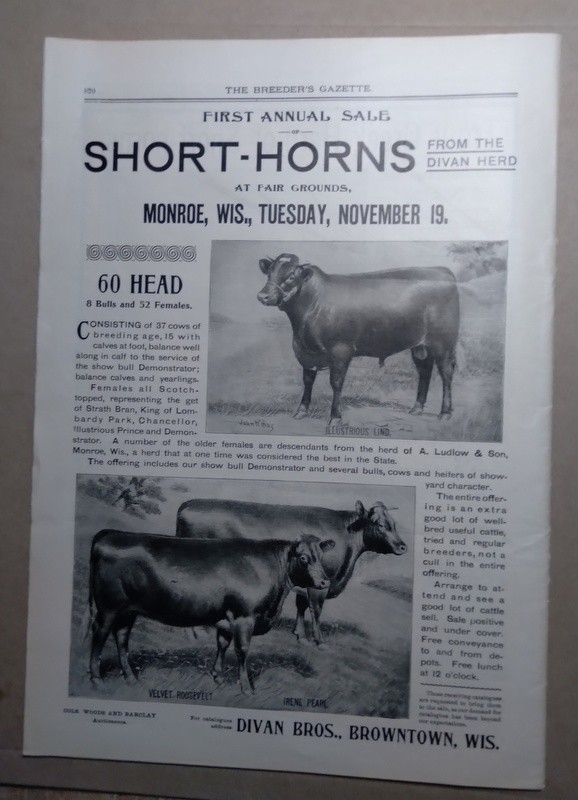 Nov 13, 1901 Breeder&rsquo;s Gazette Weekly Union Stock Yards Intl Exposition Chicago