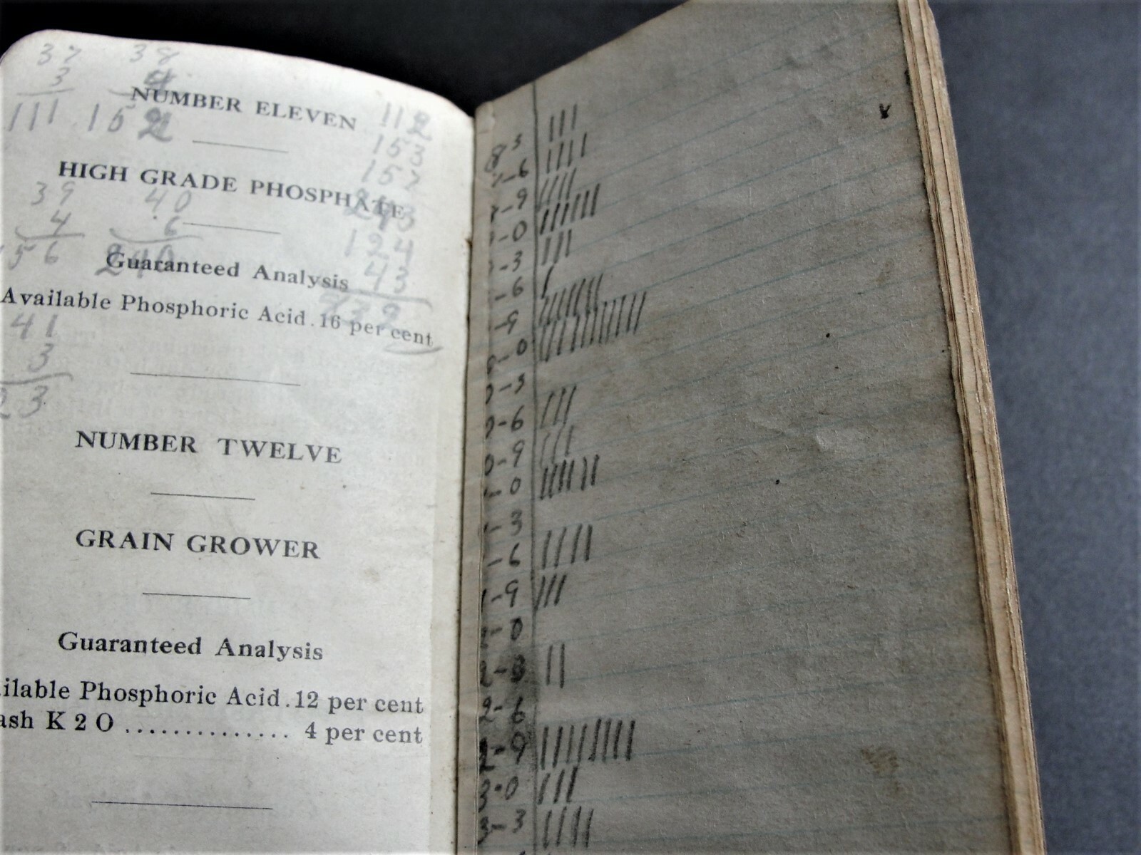High Grade Fertilizers- The Independent Packers Fertilizing Co. 1914 Memo Book.